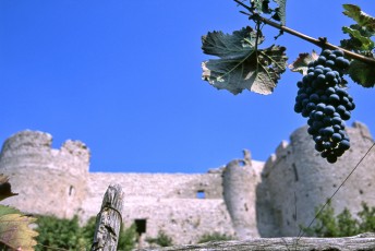 Grotta del sole - catalogo 2013 - Ag. Ogham