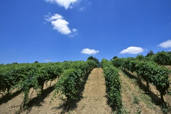 Grotta del Sole